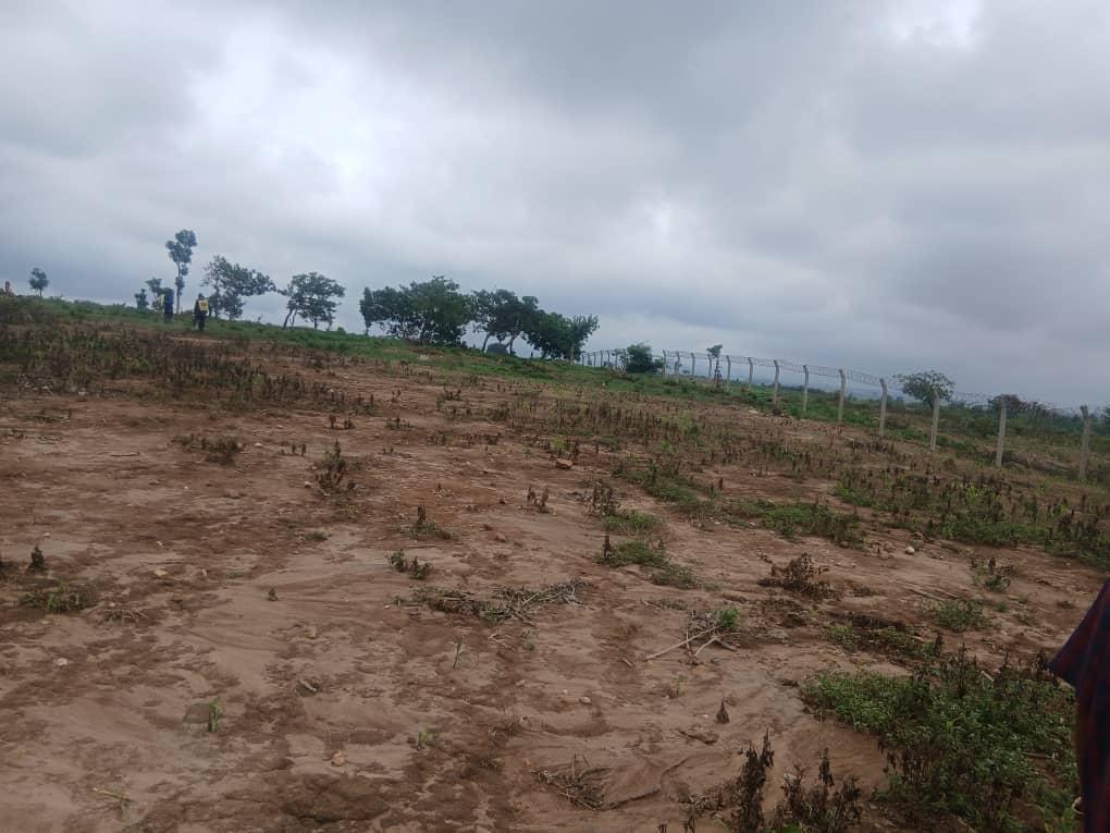 Prime 5-Hectare Estate Land — view 2